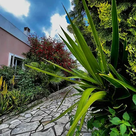 Apartmán Angela Corfu